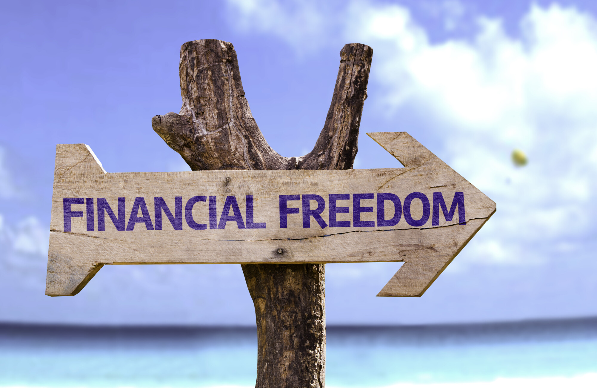 Find Financial Freedom Through Real Estate: Step-b...